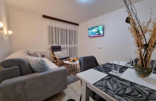 Arandelovac House | Apartmani "Vila Jelena" Arandjelovac