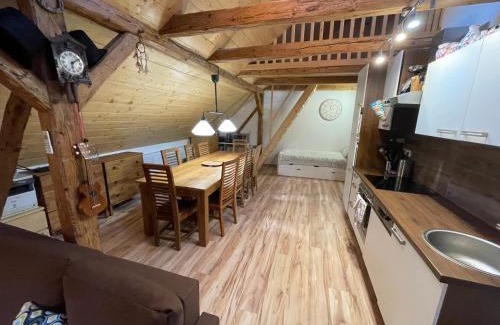 Jachymov Apartment | Apartmany Pod Kloboukem