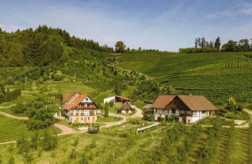 Oberkirch Apartment | Apartment '3, 62qm' with Private Terrace and Wi-Fi