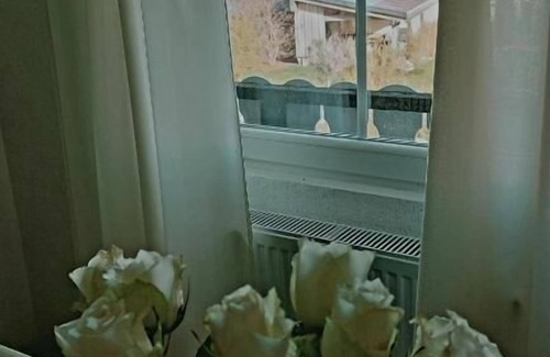 Finsterau Apartment | Apartment (30sqm) with kitchenette for 2 persons
