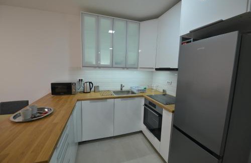 Grbavica Apartment | Apartment 54 CITY CENTER - FREE PRIVATE GARAGE