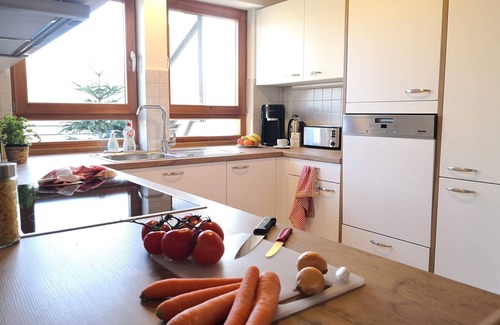 Uehlingen-Birkendorf Apartment | Apartment 'Alter Farbhof' with Private Terrace, Shared Garden and Wi-Fi
