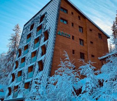 Jahorina Apartment | Apartment A5 Lux