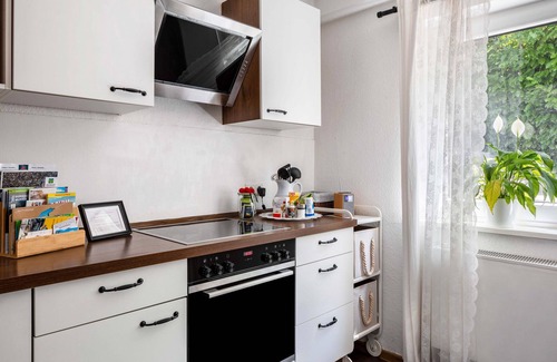 Kollnau Apartment | Apartment 'Albi' with Mountain View, Shared Terrace and Wi-Fi
