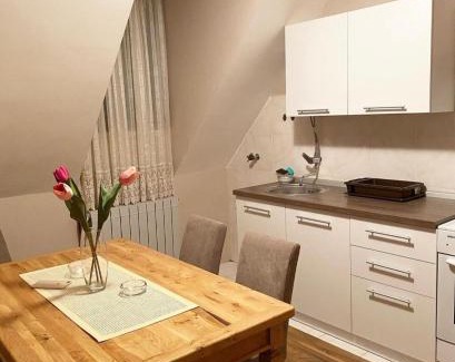 Bajina Basta Apartment | Apartment Aleksandra