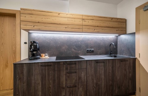 Racines Apartment | Apartment 'Alpenspitz Appartement Hocheck 2' with Mountain View, Shared Terrace and Wi-Fi