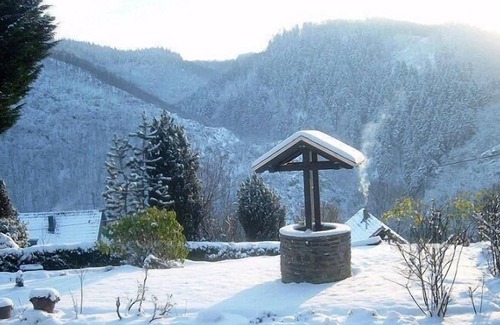 Waldbreitbach Apartment | apartment and chafer