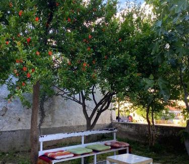 Mostar Apartment | Apartment and Rooms Zed