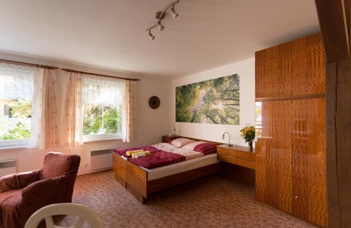 Uherske Hradiste Apartment | Apartment Andre