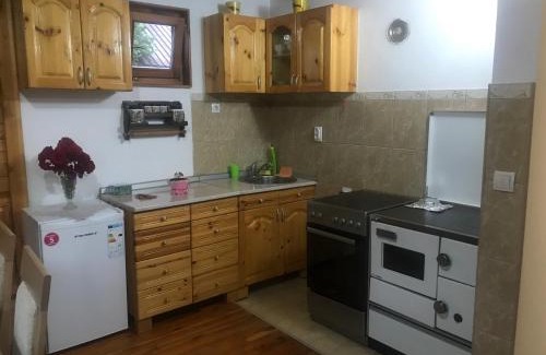 Mokra Gora Apartment | Apartment Anica