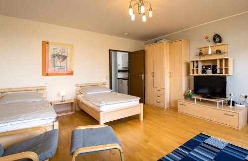 Lahnstein auf der Hohe Apartment | Apartment B609 by Interhome