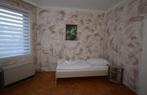 Seelberg Apartment | Apartment Bad Canstatt