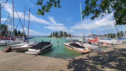 Balatonfoldvar Apartment | Apartment Balatonföldvar - Balaton 18521