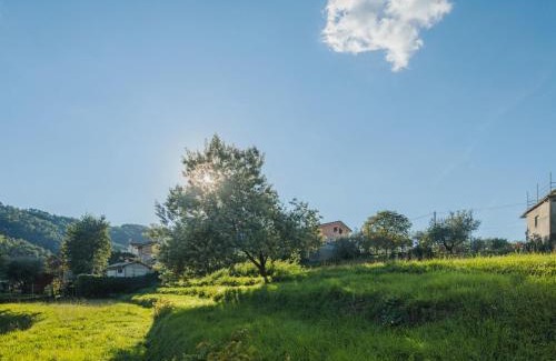 Camaiore Apartment | Apartment Barbara by Interhome