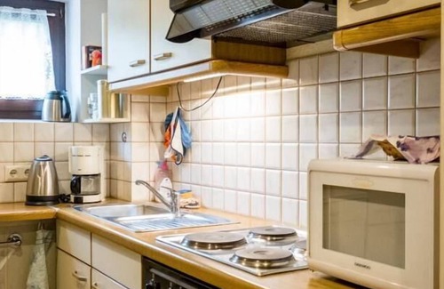 Bad Grund Apartment | Apartment-Basic-Private Bathroom-fewo2