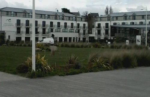 Concarneau Apartment | Apartment beautiful sea view beaches and center on foot
