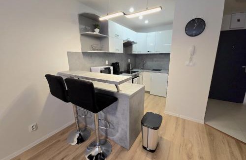 Kosice Old Town Apartment | Apartment Bellova