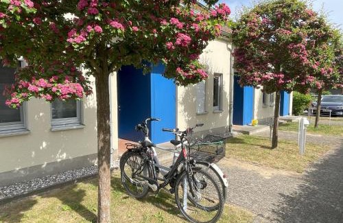 Mellenthin Apartment | Apartment Biber mit Terrasse