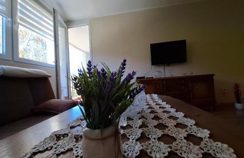 Travnik Apartment | Apartment Borac - Free Parking - Free WiFi