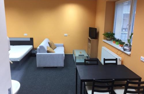 Usti nad Orlici Apartment | Apartment Corriger