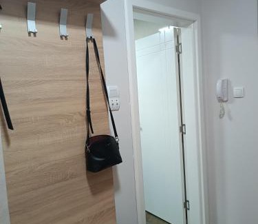 Banja Koviljaca Apartment | Apartment Dana