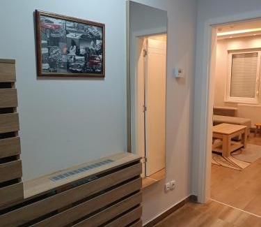 Banja Koviljaca Apartment | Apartment Dana