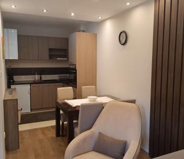 Banja Koviljaca Apartment | Apartment Dana