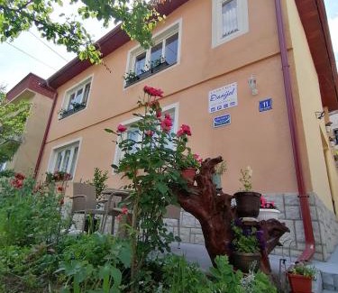 Visegrad Apartment | Apartment Danijel
