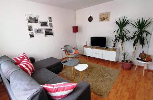 Visegrad Apartment | Apartment Danijel