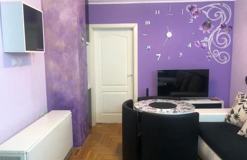 Apatin Apartment | Apartment Danube