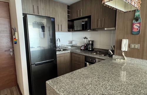 Concepcion Apartment | Apartment Downtown Concepción