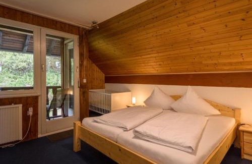 Immerath Apartment | Apartment Eifelnatur - Haus 2-3 by Interhome