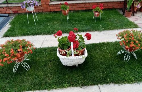 Prilep House | Apartment Elmari