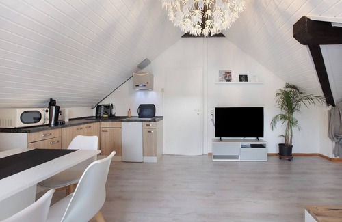 St. Blasien Apartment | Apartment "Ferreira's Loft - Ferienwohnung" with Mountain View, Balcony & Wi-Fi