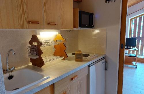 Saint-Gervais-les-Bains Apartment | Apartment Martagon-2 by Interhome