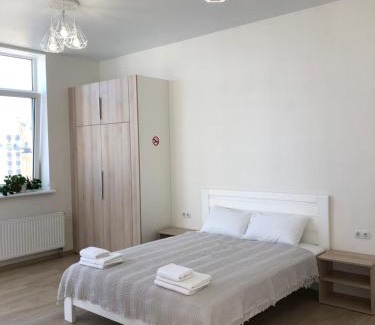 Arcadia Apartment | Apartment Gagarinsky in Arcadia