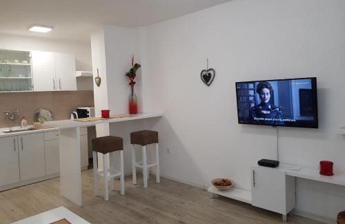 Novi Sad Apartment | Apartment GEA 1