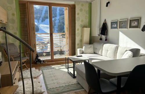 Bjelasnica Apartment | Apartment Green