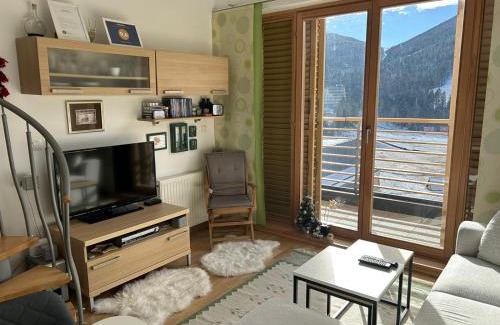 Bjelasnica Apartment | Apartment Green