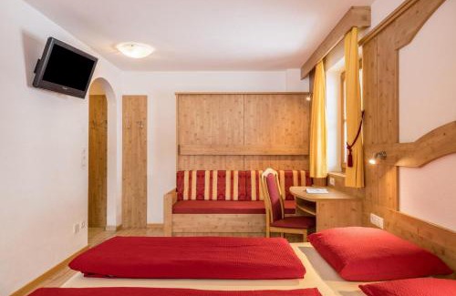 Valle Aurina Apartment | Apartment Hollenze - Gruberhof