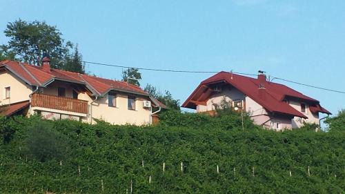 Bizeljsko Apartment | Apartment House Sumrak