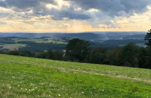 Feyen-Weismark Apartment | Apartment in Pellingen near Trier & Nature Park