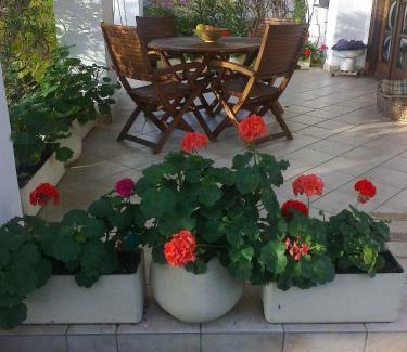 Siofok Apartment | Apartment in Siofok - Balaton 19988
