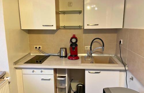 Feyen-Weismark Apartment | Apartment in Trier with parking