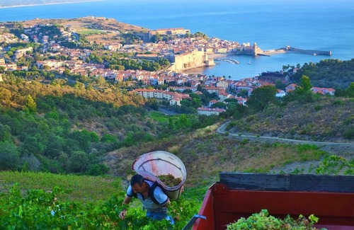 Saint-Andre Apartment | Apartment in villa, with swimming pool, sleeps 6 people
