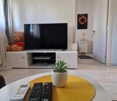 Novi Beograd Apartment | Apartment Iskra