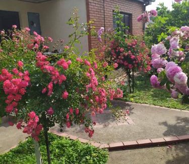 Pancevo Apartment | Apartment Ljupka
