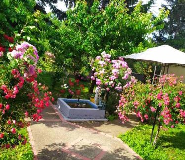 Pancevo Apartment | Apartment Ljupka