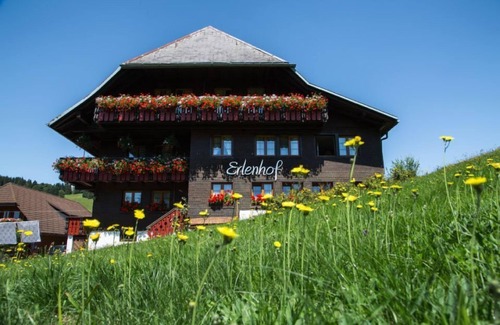 Todtnauberg Apartment | Apartment 'Löffelmatt' with Shared Terrace, Shared Garden and Wi-Fi