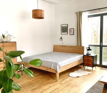 Tatranska Lomnica Apartment | Apartment Loft Lomnica